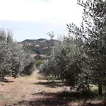 Sulla Strada Di San Francesco Assisi