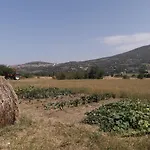 Sulla Strada Di San Francesco Assisi