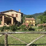 Sulla Strada Di San Francesco *