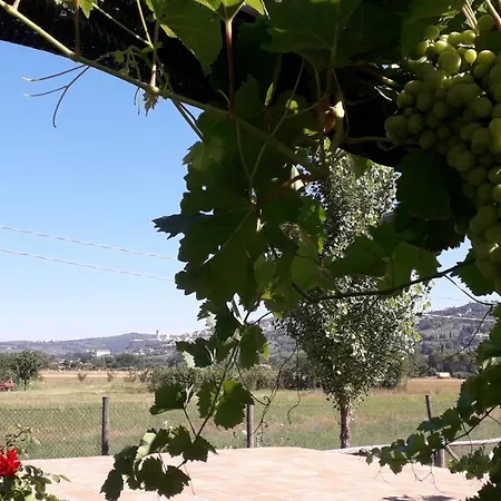 컨트리하우스 Sulla Strada Di San Francesco