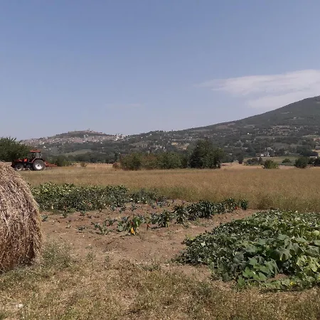 Sulla Strada Di San Francesco אסיסי