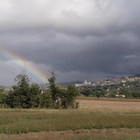 Sulla Strada Di San Francesco *