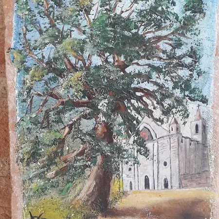 Sulla Strada Di San Francesco *