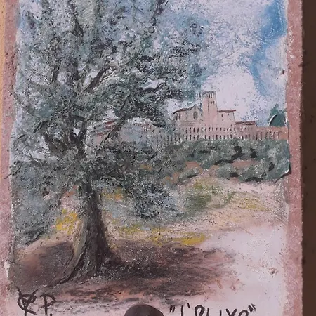 Sulla Strada Di San Francesco * Assisi
