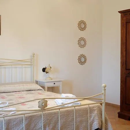 Sulla Strada Di San Francesco