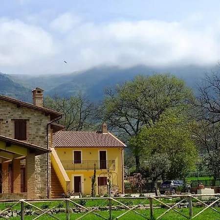 Sulla Strada Di San Francesco *