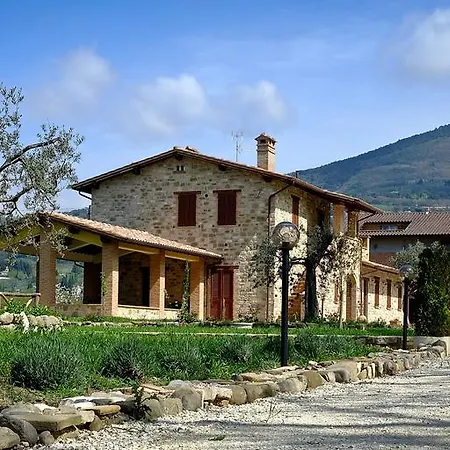 Sulla Strada Di San Francesco