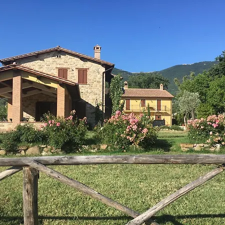 Sulla Strada Di San Francesco *