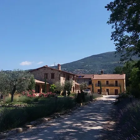 Sulla Strada Di San Francesco *