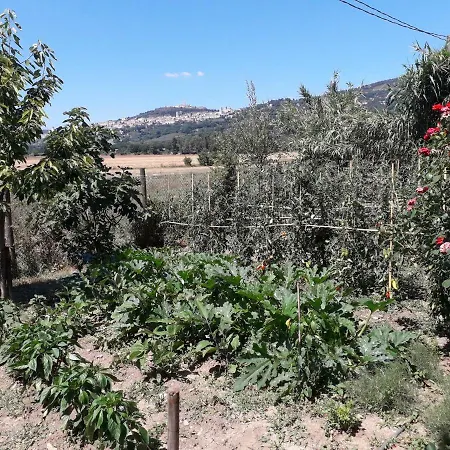 컨트리하우스 Sulla Strada Di San Francesco