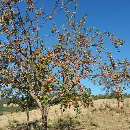 Εξοχικό σπίτι Sulla Strada Di San Francesco Ασίζη