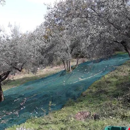 Sulla Strada Di San Francesco Εξοχικό σπίτι Ασίζη