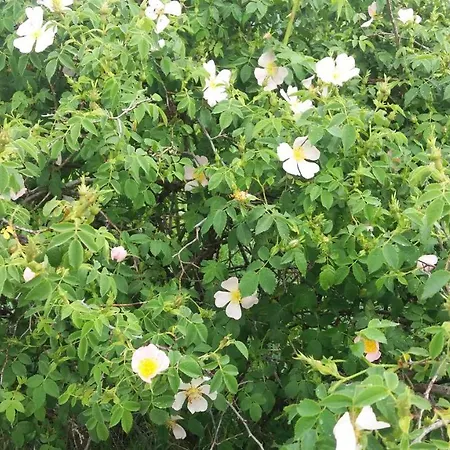 Sulla Strada Di San Francesco 컨트리하우스