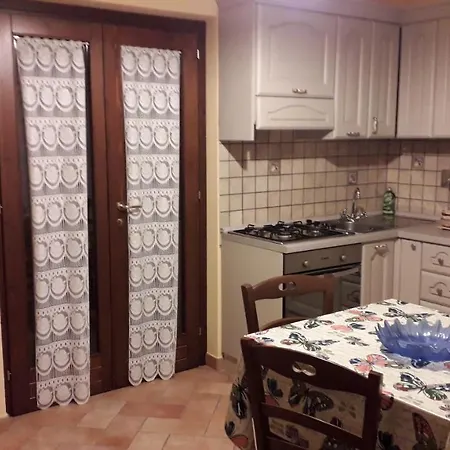 Sulla Strada Di San Francesco *