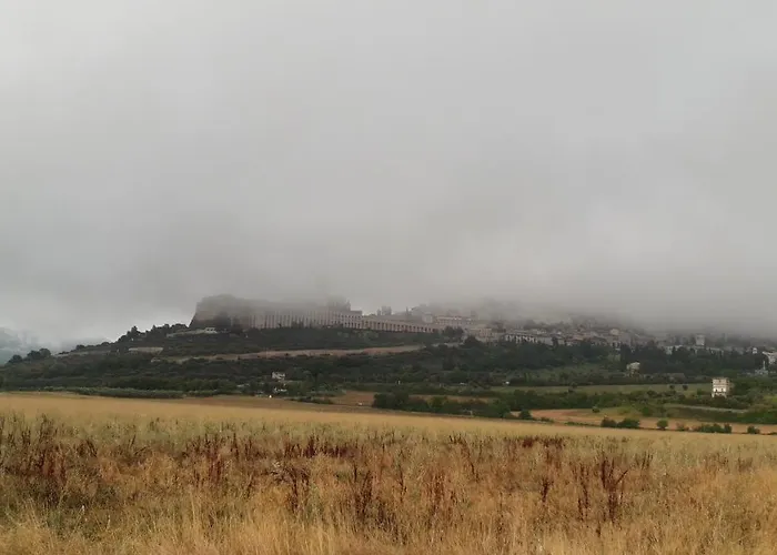 Sulla Strada Di San Francesco