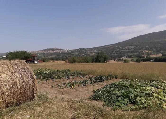 Sulla Strada Di San Francesco Assisi