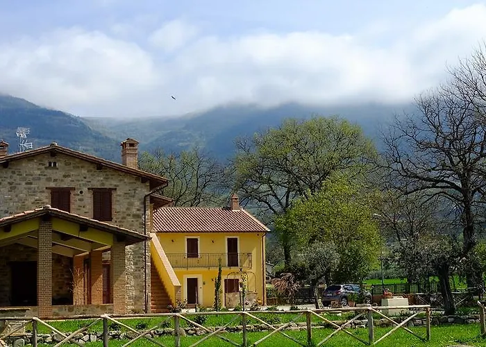Sulla Strada Di San Francesco *