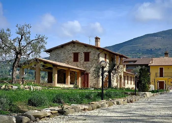 Sulla Strada Di San Francesco