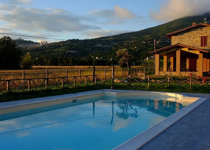 Sulla Strada Di San Francesco