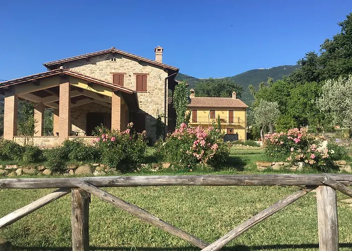 Sulla Strada Di San Francesco *