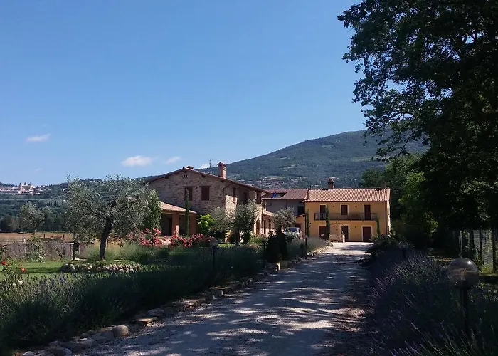 Sulla Strada Di San Francesco *