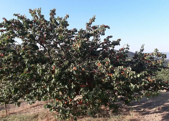 Hétvégi ház Sulla Strada Di San Francesco Assisi