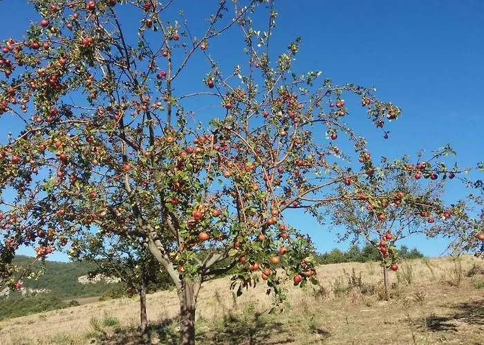 Hétvégi ház Sulla Strada Di San Francesco Assisi