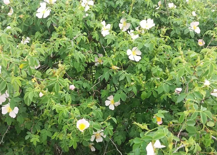 Sulla Strada Di San Francesco Venkovský dům