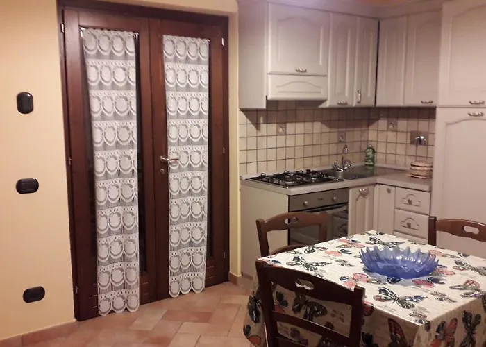 Sulla Strada Di San Francesco *