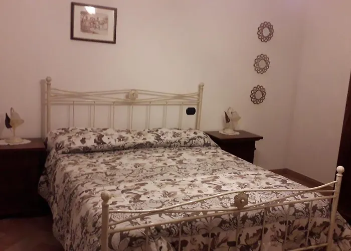 Sulla Strada Di San Francesco *