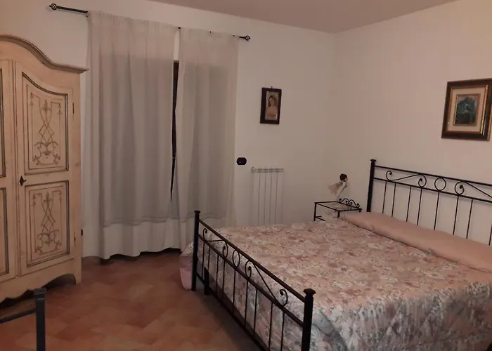 Sulla Strada Di San Francesco